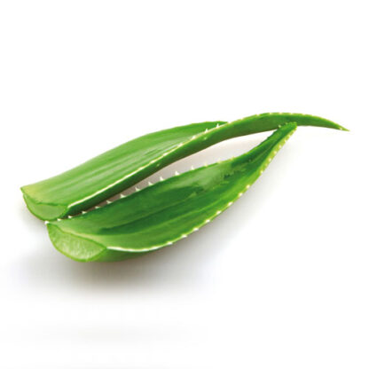 DEPILIA ΚΕΡΙ ΔΟΧΕΙΟ ALOE VERA - 400ml