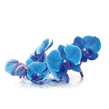 DEPILIA ΚΕΡΙ ΔΟΧΕΙΟ AZULENE - 800ml